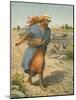 The Sower Sowing the Seed-English School-Mounted Giclee Print