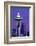 The Space Needle decorated with Christmas lights, Seattle, Washington-William Sutton-Framed Photographic Print