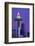 The Space Needle decorated with Christmas lights, Seattle, Washington-William Sutton-Framed Photographic Print