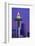 The Space Needle decorated with Christmas lights, Seattle, Washington-William Sutton-Framed Photographic Print