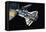 The Space Shuttle-Wilf Hardy-Framed Premier Image Canvas