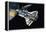 The Space Shuttle-Wilf Hardy-Framed Premier Image Canvas