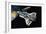 The Space Shuttle-Wilf Hardy-Framed Giclee Print