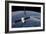 The Spacex Dragon Cargo Craft Prior to Being Released by the Canadarm2 Robotic Arm-null-Framed Photographic Print