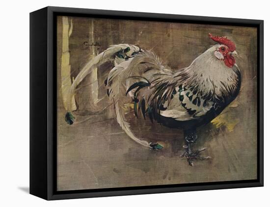 'The Spangled Cock', 1903 (1935)-Joseph Crawhall-Framed Premier Image Canvas