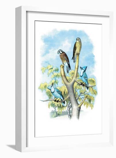 The Sparrow Hawk-Theodore Jasper-Framed Art Print