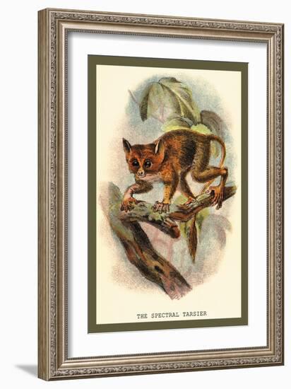 The Spectral Tarsier-Sir William Jardine-Framed Art Print