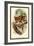 The Spectral Tarsier-Sir William Jardine-Framed Art Print