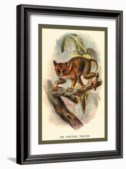 The Spectral Tarsier-Sir William Jardine-Framed Art Print