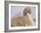 The Sphinx and Chephren Pyramid Beyond, Giza, Unesco World Heritage Site, Near Cairo, Egypt-Nico Tondini-Framed Photographic Print