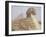 The Sphinx and Chephren Pyramid Beyond, Giza, Unesco World Heritage Site, Near Cairo, Egypt-Nico Tondini-Framed Photographic Print