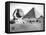 The Sphinx and Pyramid at Giza, Egypt, C1882-null-Framed Premier Image Canvas