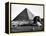 The Sphinx and the Pyramid of Cheops Standing in the Desert-null-Framed Premier Image Canvas