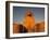 The Sphinx, Dream Stele, Giza, Egypt-Kenneth Garrett-Framed Photographic Print