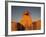 The Sphinx, Dream Stele, Giza, Egypt-Kenneth Garrett-Framed Photographic Print