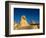 The Sphinx, Pyramids at Giza, Egypt-Kenneth Garrett-Framed Photographic Print