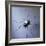 The Spider, 1996-Lawrie Simonson-Framed Giclee Print