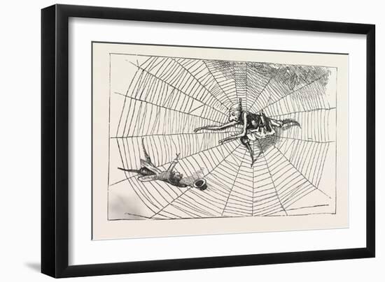 The Spider and the Fly-null-Framed Giclee Print
