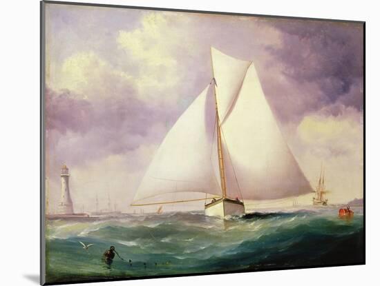 The Spinnaker Sail-Nicholas Matthews Condy-Mounted Giclee Print