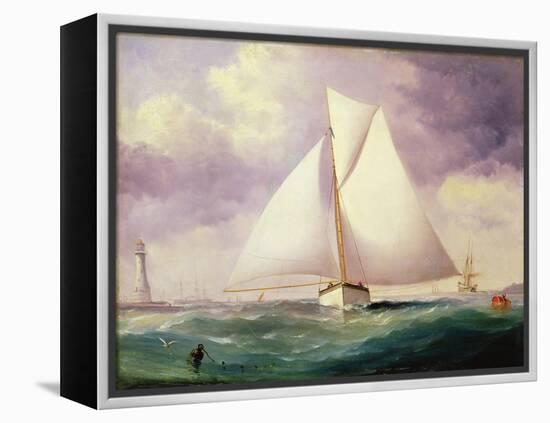 The Spinnaker Sail-Nicholas Matthews Condy-Framed Premier Image Canvas