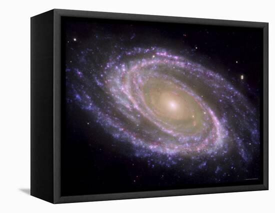 The Spiral Galaxy Known as Messier 81-Stocktrek Images-Framed Premier Image Canvas