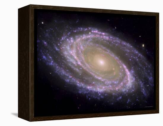 The Spiral Galaxy Known as Messier 81-Stocktrek Images-Framed Premier Image Canvas