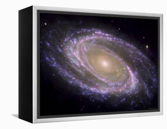 The Spiral Galaxy Known as Messier 81-Stocktrek Images-Framed Premier Image Canvas