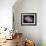 The Spiral Galaxy Known as Messier 81-Stocktrek Images-Framed Photographic Print displayed on a wall