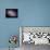 The Spiral Galaxy Known as Messier 81-Stocktrek Images-Mounted Photographic Print displayed on a wall