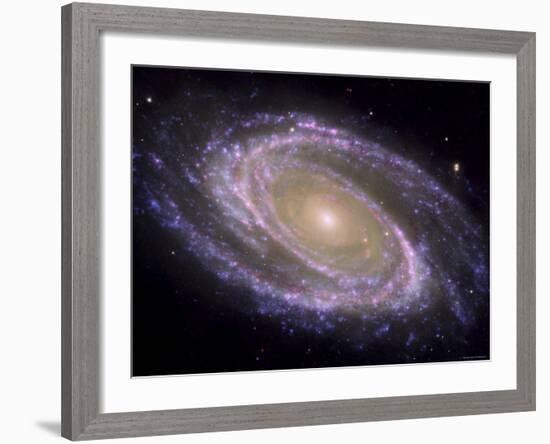 The Spiral Galaxy Known as Messier 81-Stocktrek Images-Framed Photographic Print