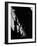 The Spiral Staircase, Dorothy McGuire, 1946-null-Framed Photo