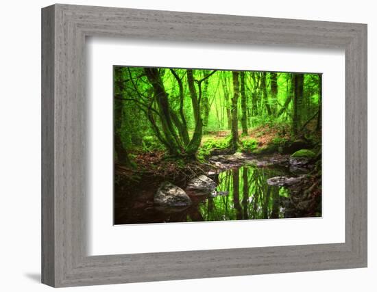 The Spirit of Valley-Viviane Fedieu Daniel-Framed Photographic Print