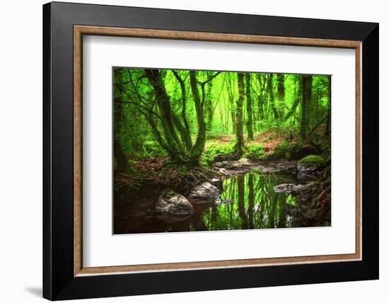 The Spirit of Valley-Viviane Fedieu Daniel-Framed Photographic Print