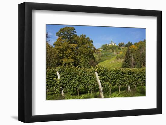 The Spitzhaus Above the Vineyards in Radebeul Near Dresden-Uwe Steffens-Framed Photographic Print