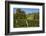 The Spitzhaus Above the Vineyards in Radebeul Near Dresden-Uwe Steffens-Framed Photographic Print