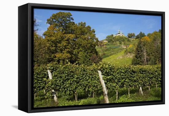 The Spitzhaus Above the Vineyards in Radebeul Near Dresden-Uwe Steffens-Framed Premier Image Canvas