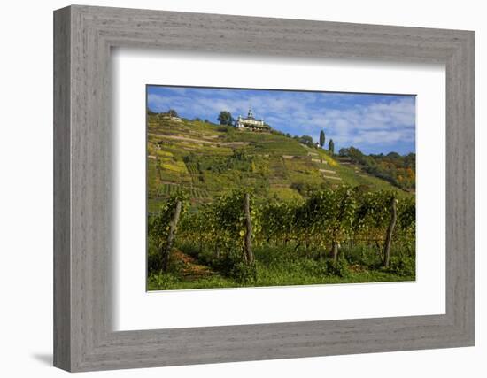 The Spitzhaus in the Vineyards in Radebeul Near Dresden-Uwe Steffens-Framed Photographic Print