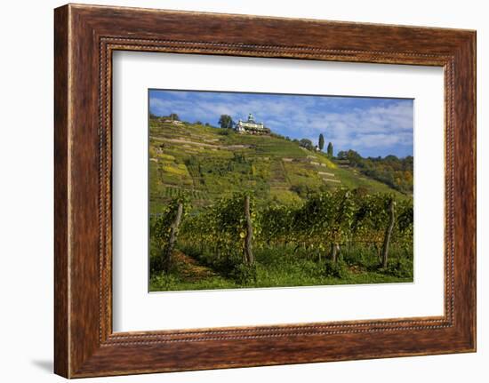 The Spitzhaus in the Vineyards in Radebeul Near Dresden-Uwe Steffens-Framed Photographic Print