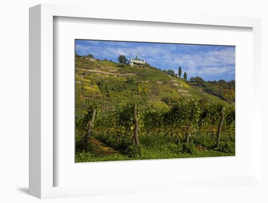 The Spitzhaus in the Vineyards in Radebeul Near Dresden-Uwe Steffens-Framed Photographic Print