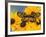 The Spotted Amerwing Butterfly on Flowers-Darrell Gulin-Framed Photographic Print