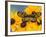 The Spotted Amerwing Butterfly on Flowers-Darrell Gulin-Framed Photographic Print