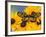 The Spotted Amerwing Butterfly on Flowers-Darrell Gulin-Framed Photographic Print