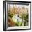 The Spring Path-Chris Ross Williamson-Framed Giclee Print