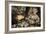 The Spring-Giuseppe Arcimboldo-Framed Premium Giclee Print