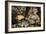 The Spring-Giuseppe Arcimboldo-Framed Giclee Print