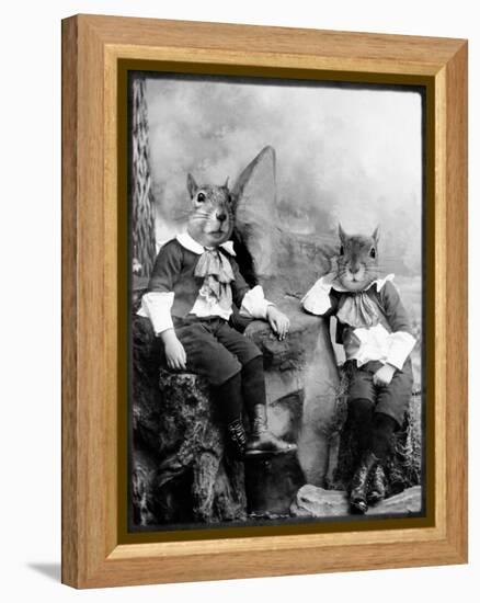 The Squirrelton Twins-Grand Ole Bestiary-Framed Stretched Canvas