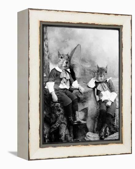 The Squirrelton Twins-Grand Ole Bestiary-Framed Stretched Canvas