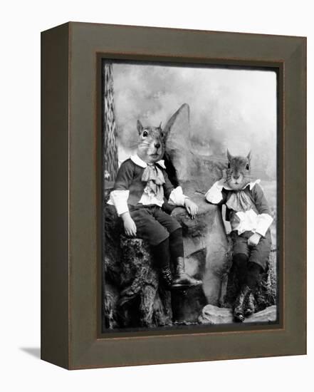 The Squirrelton Twins-Grand Ole Bestiary-Framed Stretched Canvas