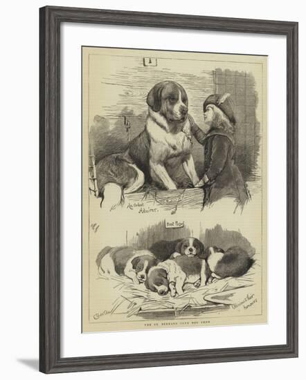 The St Bernard Club Dog Show-Charles Burton Barber-Framed Giclee Print