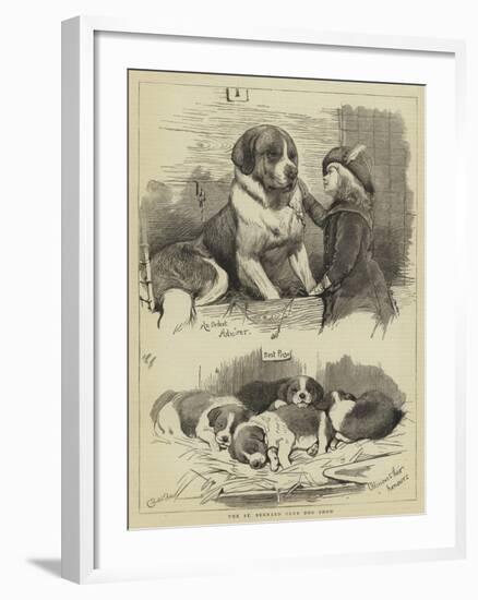 The St Bernard Club Dog Show-Charles Burton Barber-Framed Giclee Print